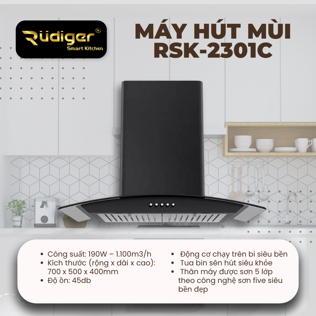 Máy hút mùi Rudiger RSK-2301C - Điện Máy Đăng Khoa Hải Phòng - Đồ gia dụng  chính hãng giá cực rẻ