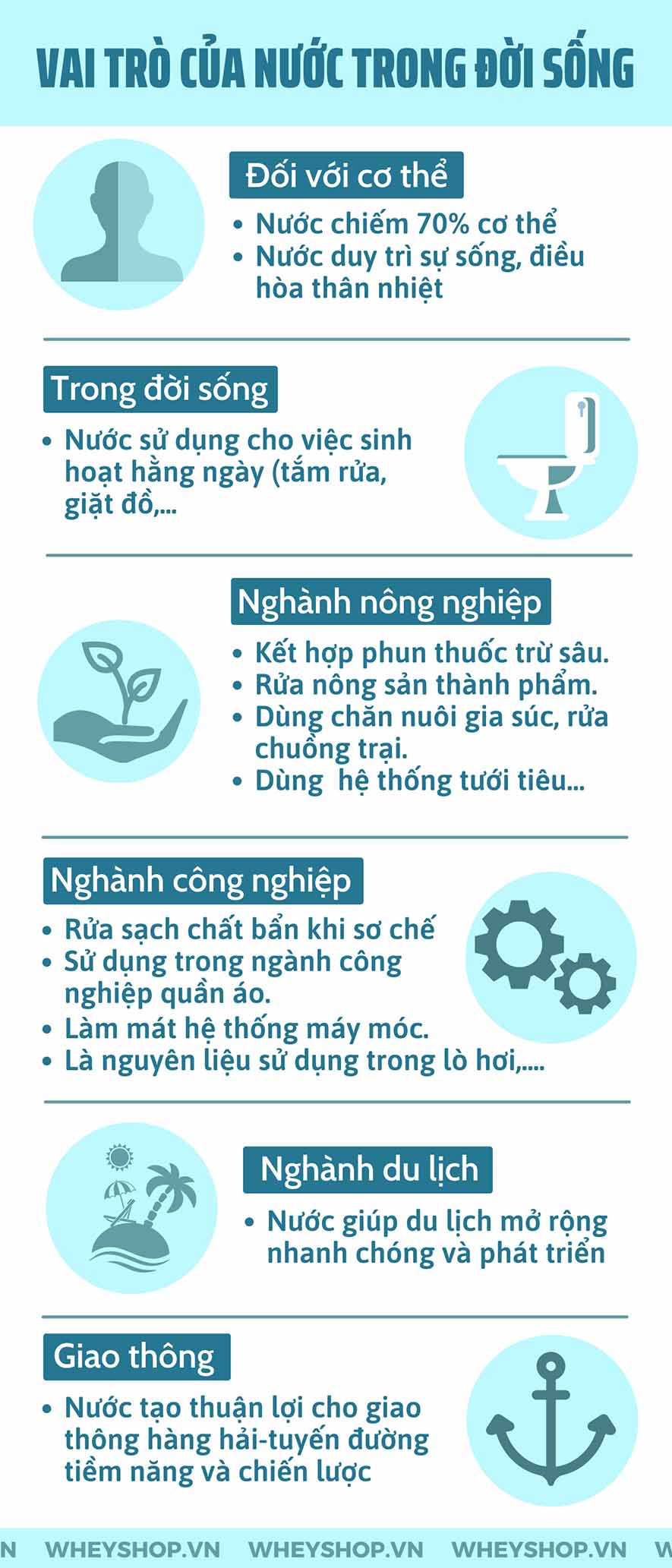 Góc tìm hiểu: Vai trò của nước trong đời sống ngày nay - WheyShop.vn